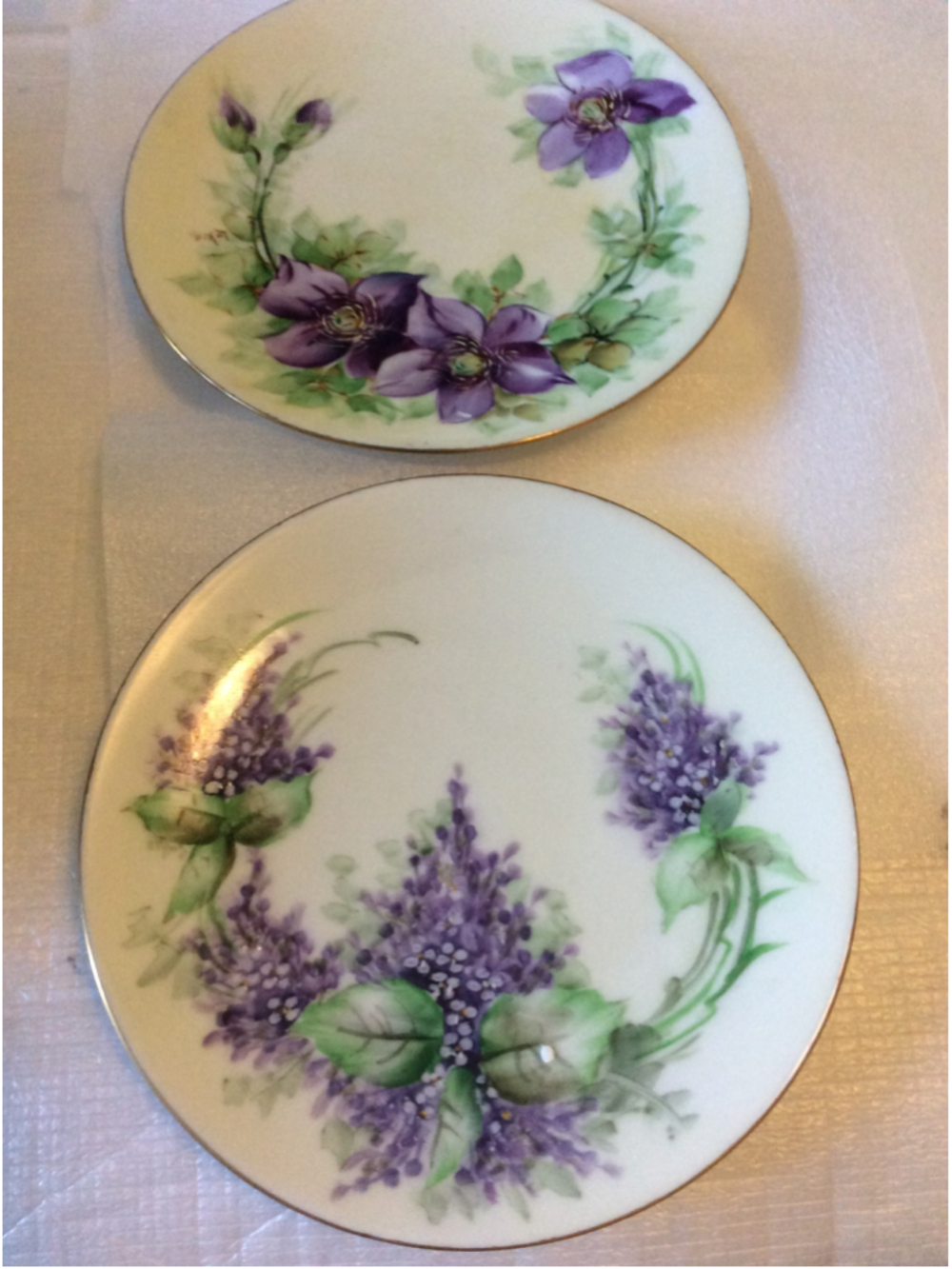 Favorite Bavaria Dinnerware Plates White Purple Floral Set of 2